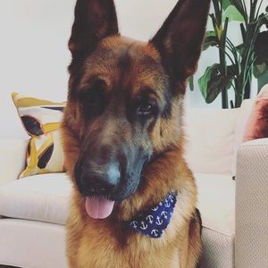 Meet your Posher, Michael